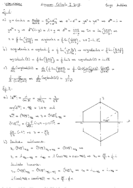 Cálculo I 2014-2015 (resuelto).pdf