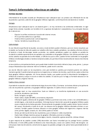 ENFERMEDADES-INFECCIOSAS-I-parte-2-caballos.pdf