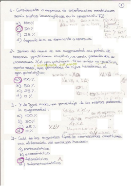 aitana (1) examen.pdf