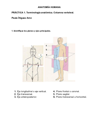 Practica-1-anatomia-Paula-Iniguez.pdf