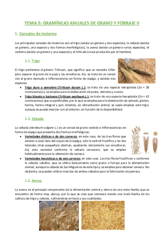 TEMA-5-Agronomia.pdf