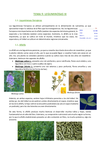 TEMA-9-Agronomia.pdf