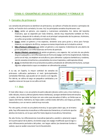 TEMA-6-Agronomia.pdf