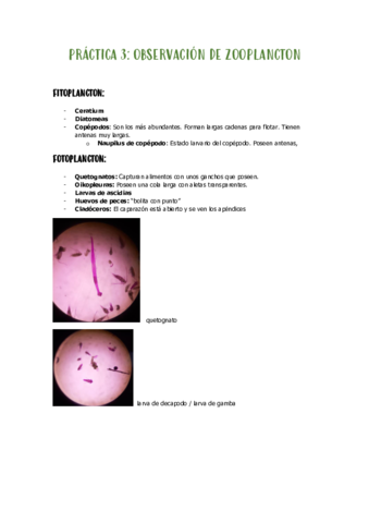 PRACTICA-3-zooplancton.pdf