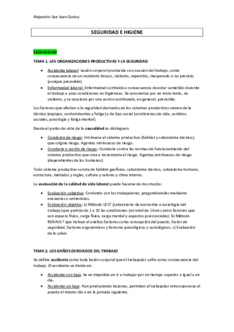SEGURIDAD-E-HIGIENERESUMEN.pdf