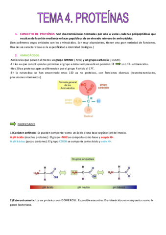 TEMA-4-PROTEINAS.pdf