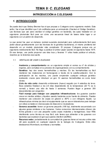 MODELOS-T9.pdf