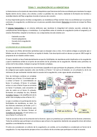 TEMA-7.pdf