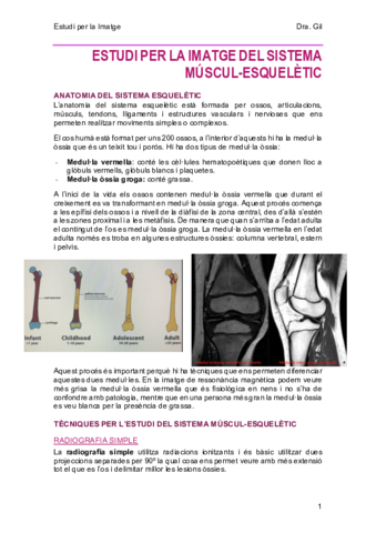 5-MusculEsqueletic.pdf