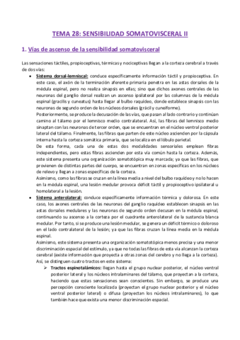 TEMA-28-Fisiologia.pdf