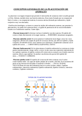 placentacionanimalstododefinitivo.pdf