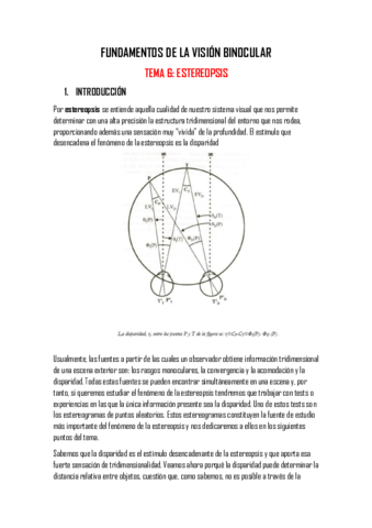 TEMA-6-ESTEREOPSIS.pdf