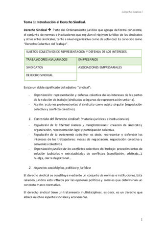 Tema-1-sindical.pdf