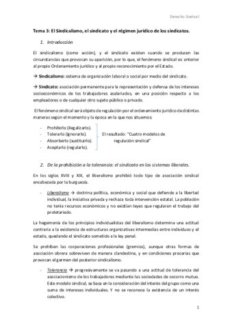 Tema-3-sindical.pdf