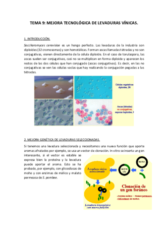 TEMA-9-BIOTECNOLOGIA-MICROBIANA.pdf