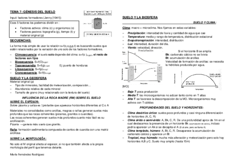 TEMA-7.pdf