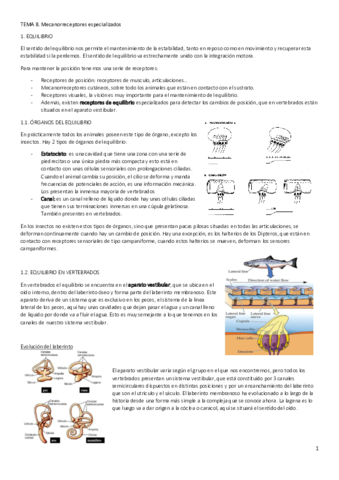 FAI-Tema-8.pdf