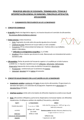 ECOGRAFIA.pdf