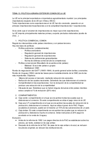 TEMA-13.pdf