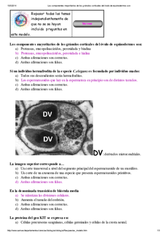 Embrioexamen.pdf