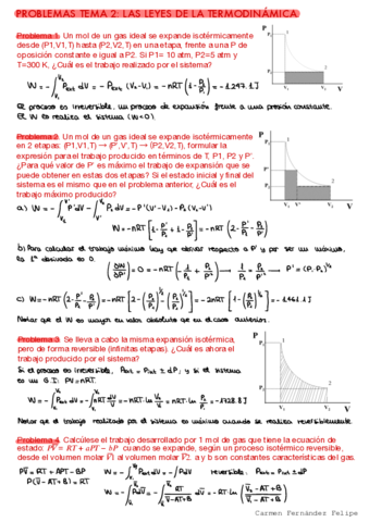 CFFQF1Tema2SeminarioResuelto.pdf