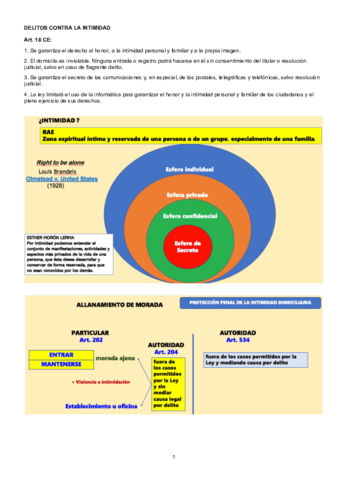 DELITOS-CONTRA-LA-INTIMIDAD.pdf