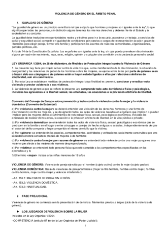 VIOLENCIA-DE-GENERO-.pdf