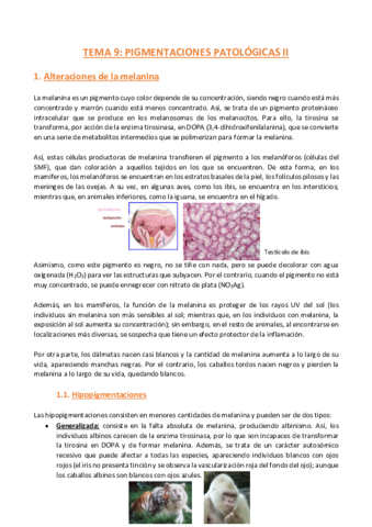 TEMA-9-Anatomia-Patologica-General.pdf