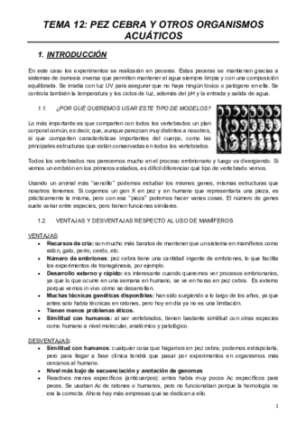 MODELOS-T12.pdf