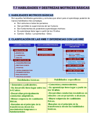 T.7 HABILIDADES Y DESTREZAS M.B