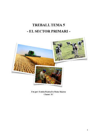 Trabajo-T.pdf