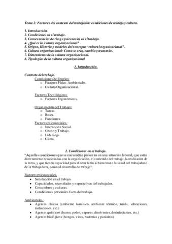 Tema-2-.pdf