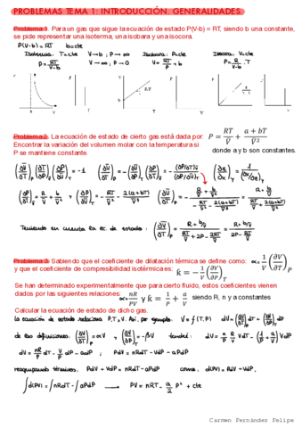 CFFQF1Tema1SeminarioResuelto.pdf