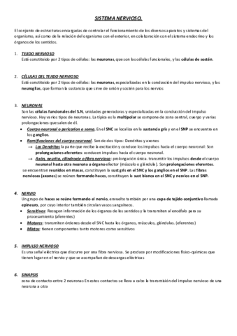 SISTEMA-NERVIOSO.pdf