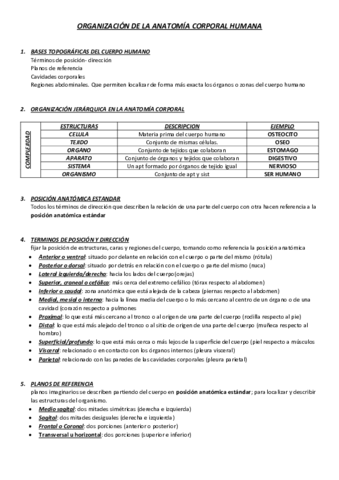 ORGANIZACION-DE-LA-ANATOMIA-CORPORAL-HUMANA.pdf