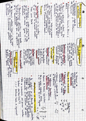 Notebloc46741474-9AE9-46CF-BD54-2C8F93F78A03-7317-00000182B9B8548C.pdf