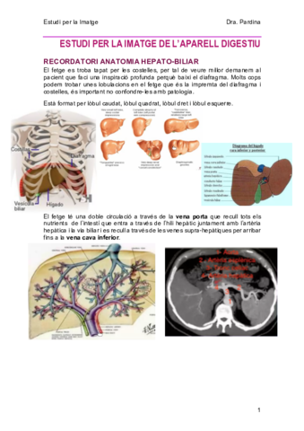 6-AparellDigestiu.pdf