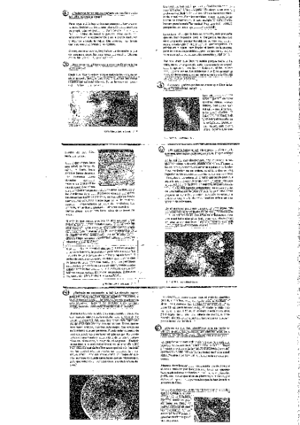 ZENTZUZKOA-AL-DA-SINESTEA-2.pdf