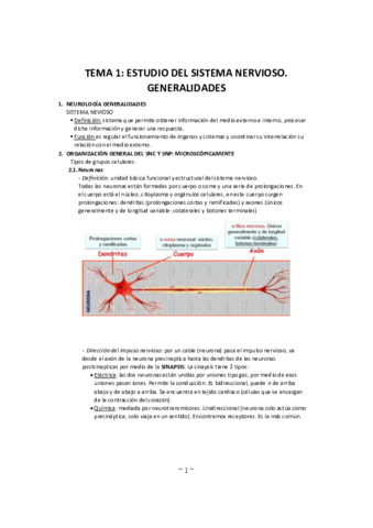 Anatomia-1-30.pdf