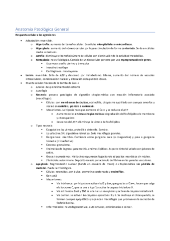 Patologia-General.pdf