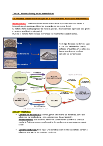 Copia-de-Tema-6-Metamorfismo-y-rocas-metamorficas.pdf