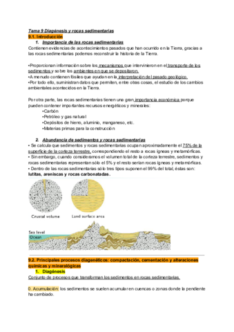 Copia-de-Apuntes-tema-9.pdf