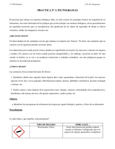 P6.pdf