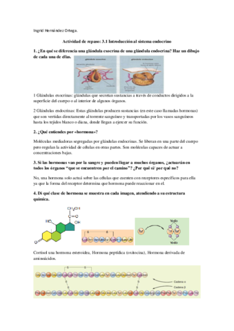 Actividades-de-endocrinologia.pdf