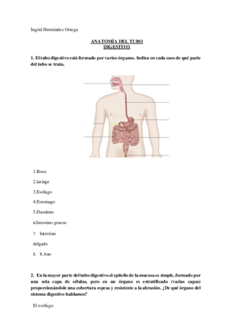 ACTIVIDAD-ANATOMIA-DEL-TUBO-DIGESTIVO-ingrid-2.pdf