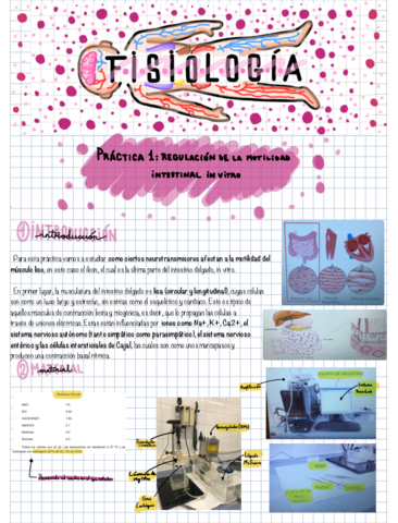Fisiologia-Practica-1-y-2.pdf