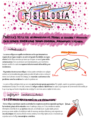 Fisiologia-Practica-3-y-4.pdf