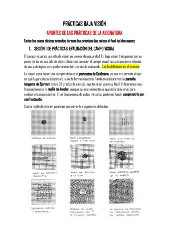 PRACTICAS-BAJA-VISION.pdf