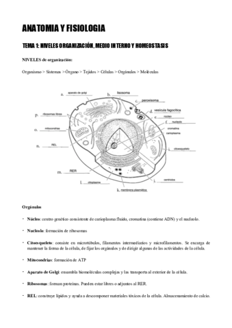 Anatomia-y-fisiologia.pdf