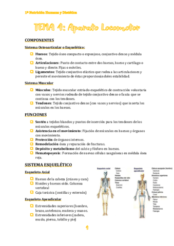 TEMA-4.pdf